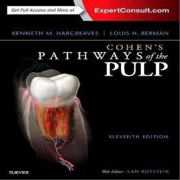 Chương 13 Pathway: Phản ứng của tủy với sâu răng và các thủ thật nha khoa.ac