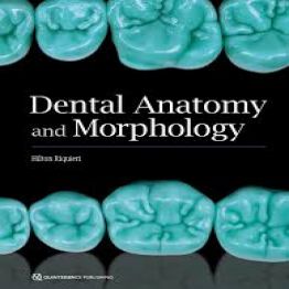 Dental Anatomy and Morphology-2019