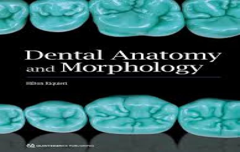 Dental Anatomy and Morphology-2019-download