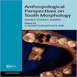 Anthropological Perspectives on Tooth Morphology- Genetics, Evolution, Variation (2013)