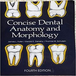 Concise Dental Anatomy and Morphology (2001)