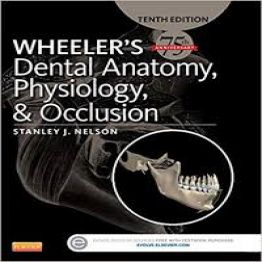 Wheelers Dental Anatomy, Physiology and Occlusion 10ed