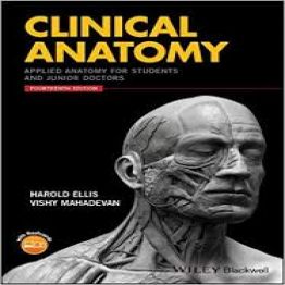 Clinical Anatomy-Applied Anatomy for Students and Junior Doctors-14th Edition-2019