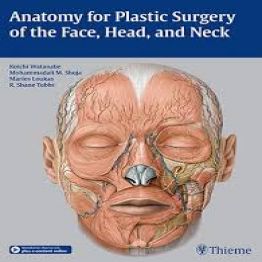 Anatomy for Plastic Surgery of the Face, Head, and Neck-2016