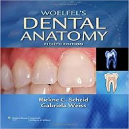 Woelfel’s Dental Anatomy Its Relevance to Dentistry, 8th Edition