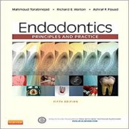 Endodontics Principles and Practice 5th Edition