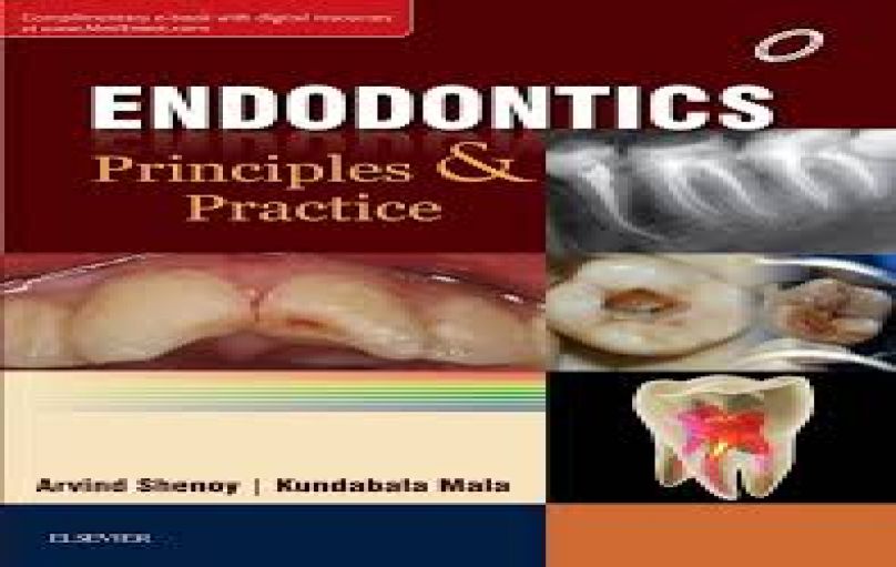 Endodontics Principles and Practice-download