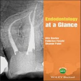 Endodontology at a Glance-2019
