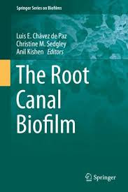 the root canal biofilm