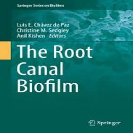 the root canal biofilm