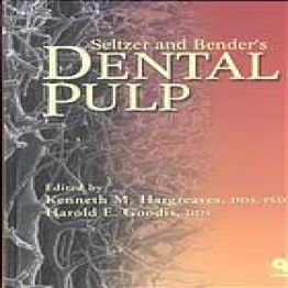 Seltzer and Bender’s Dental Pulp,1 edition (2002)