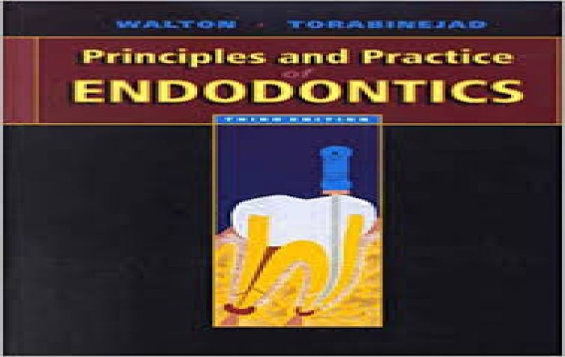 Principles and Practice of Endodontics - Saunders; 3 edition (January 15, 2002)-download